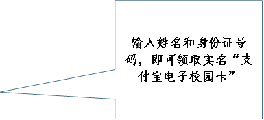 输入姓名和身份证号码，即可领取实名“支付宝电子校园卡”